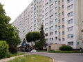 Platinium White - Gospody
